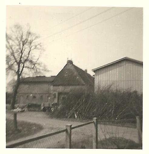Alter Hof Kühl