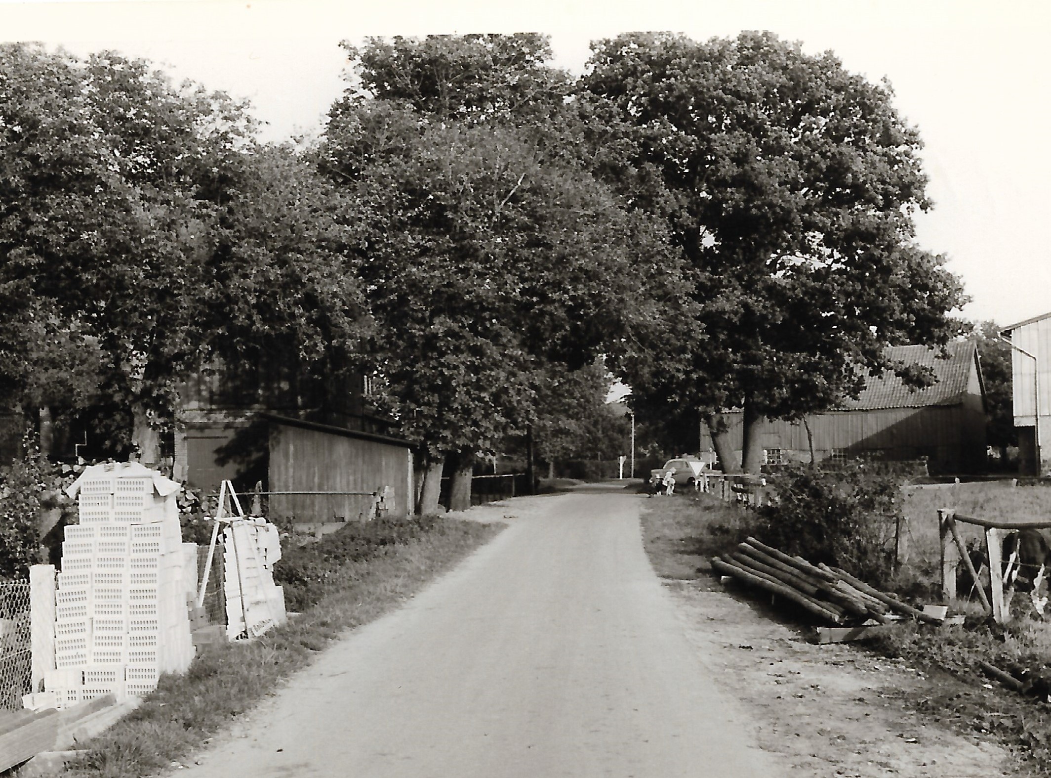 Blick in den Weg Mückenhörn