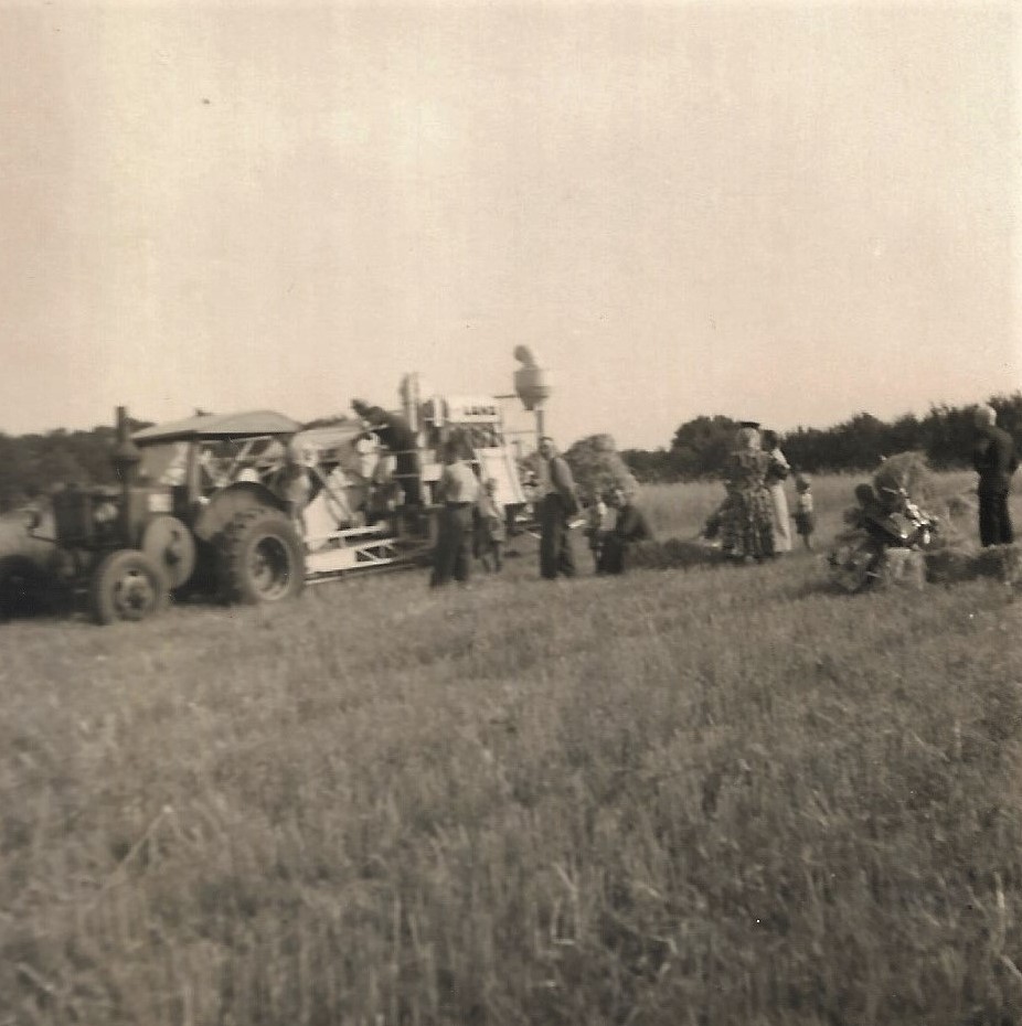 Dreschmaschine 1955 Erster Einsatz 3