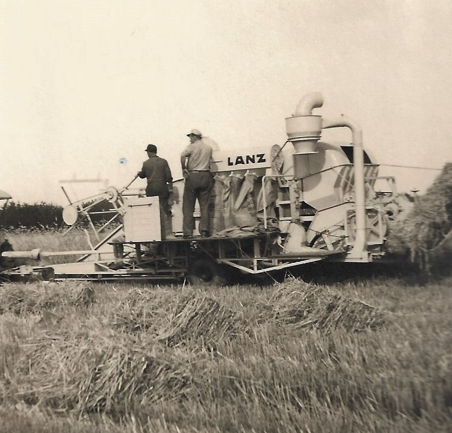 Dreschmaschine 1955 Erster Einsatz 4