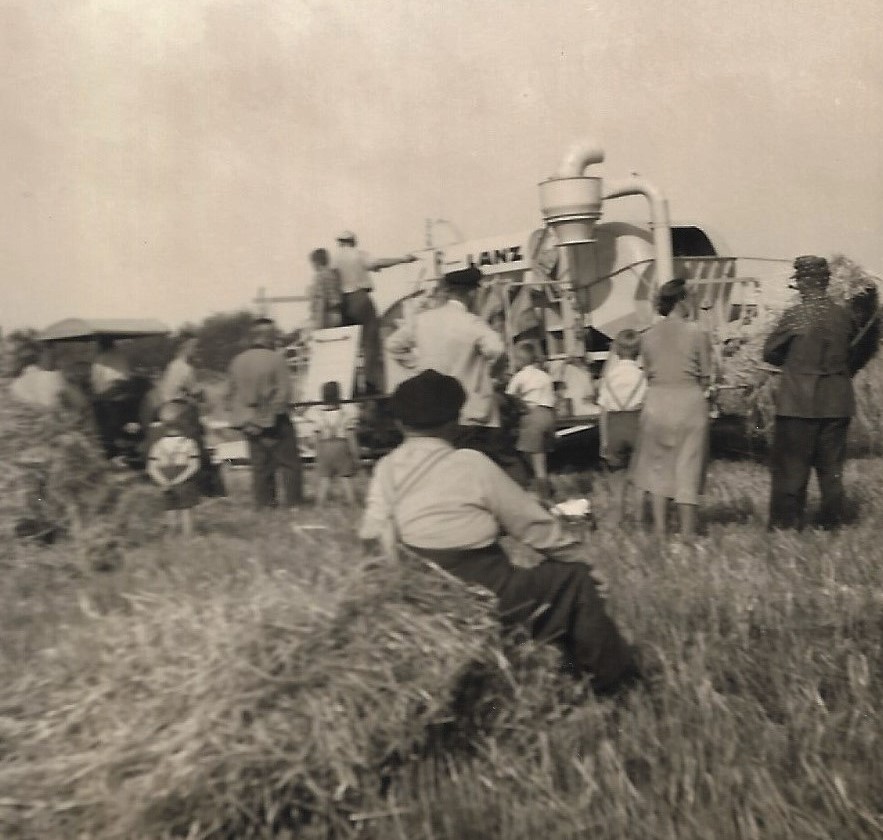 Dreschmaschine 1955 Erster Einsatz 5