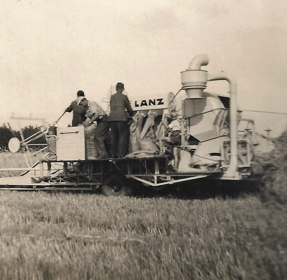 Dreschmaschine 1955 Erster Einsatz 6