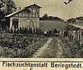 Fischzuchtanstalt 2