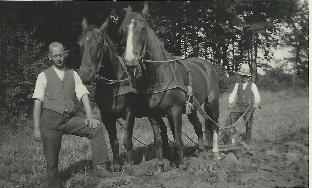 Pflügen mit Pferd