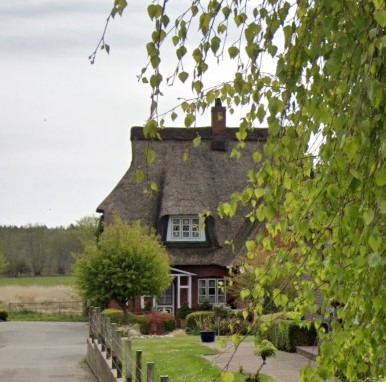 Screenshot 2025 02 20 133051