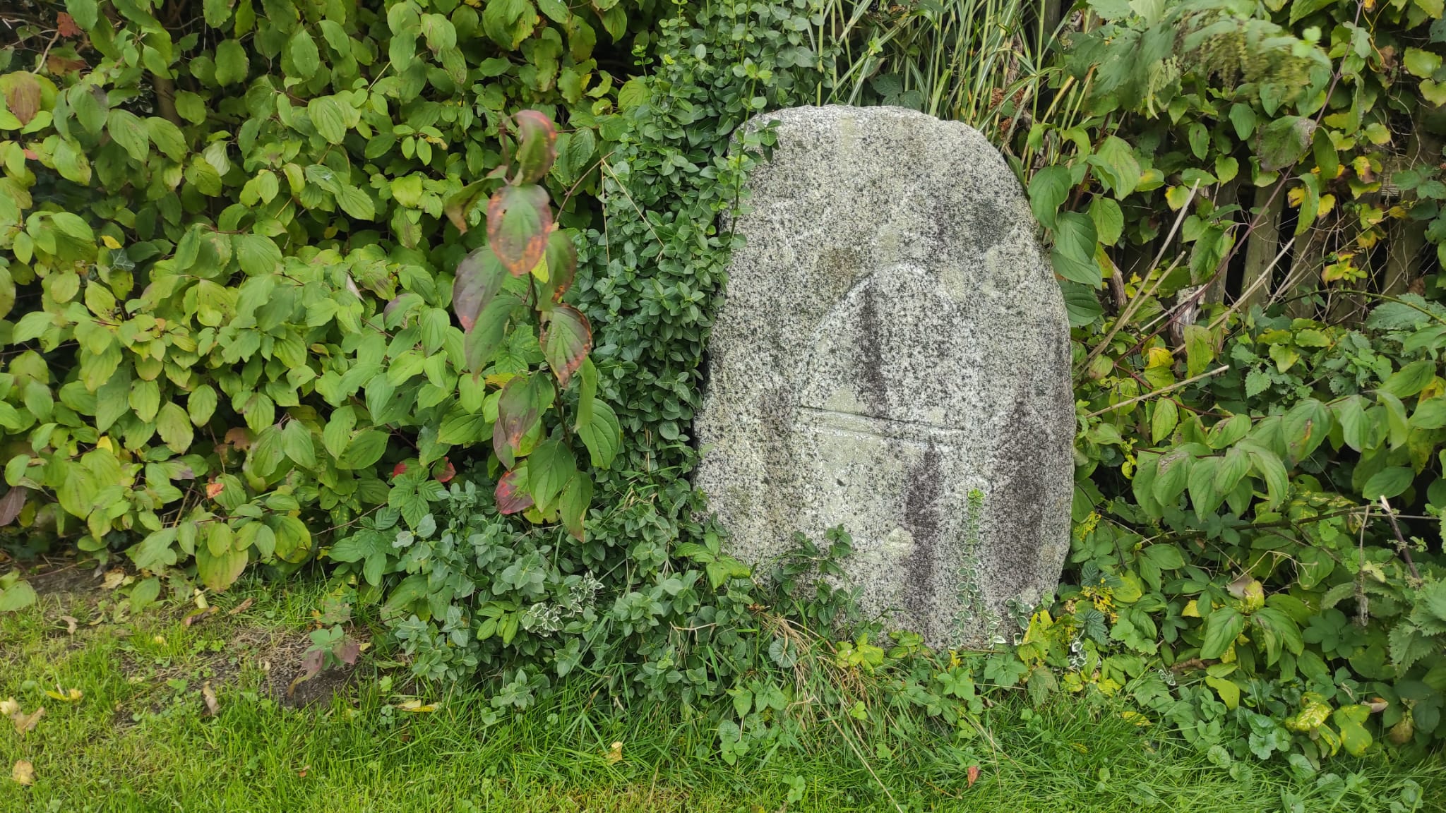 Stein am Dorfteich 1