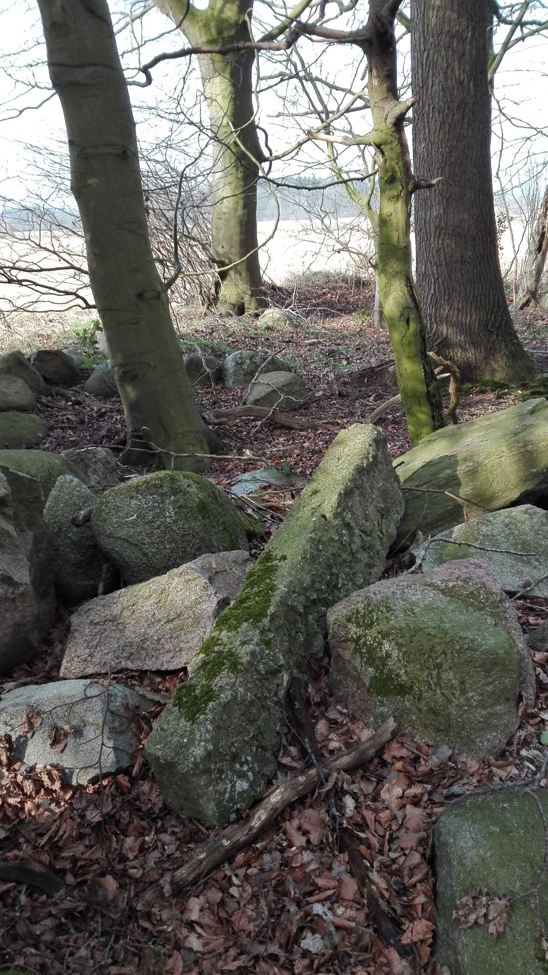Steine in Martens Wald 2 für website