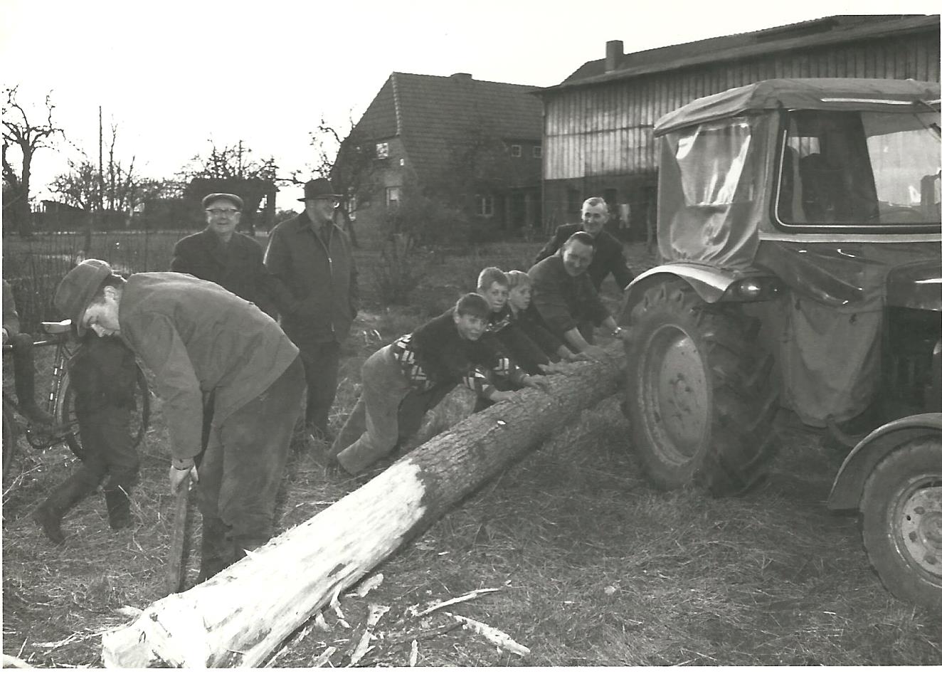 Storchennest Aufbau Mast