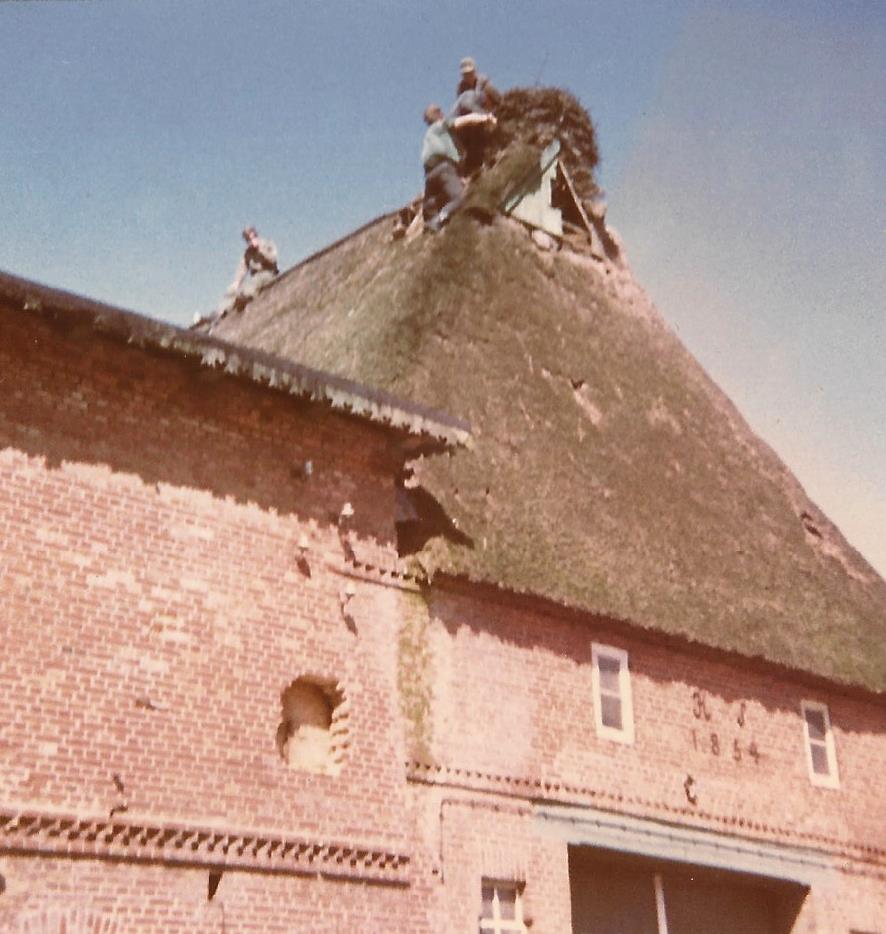 Storchennest Helfer auf dem Dach2