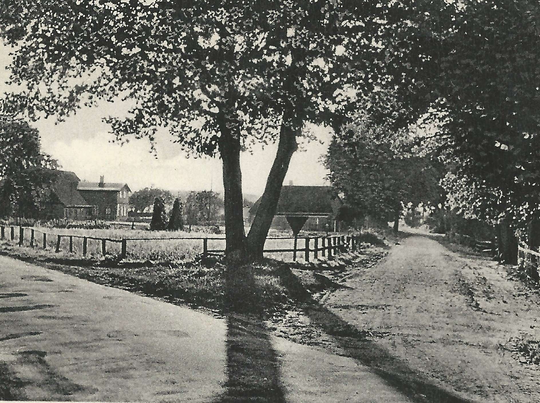 alte Postkarte Mückenhörn