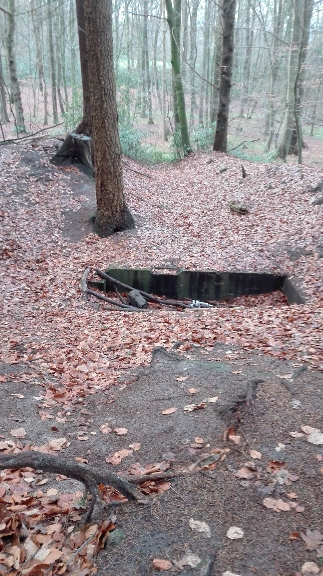 ehemaliger Schießstand im Ellerrehm für website