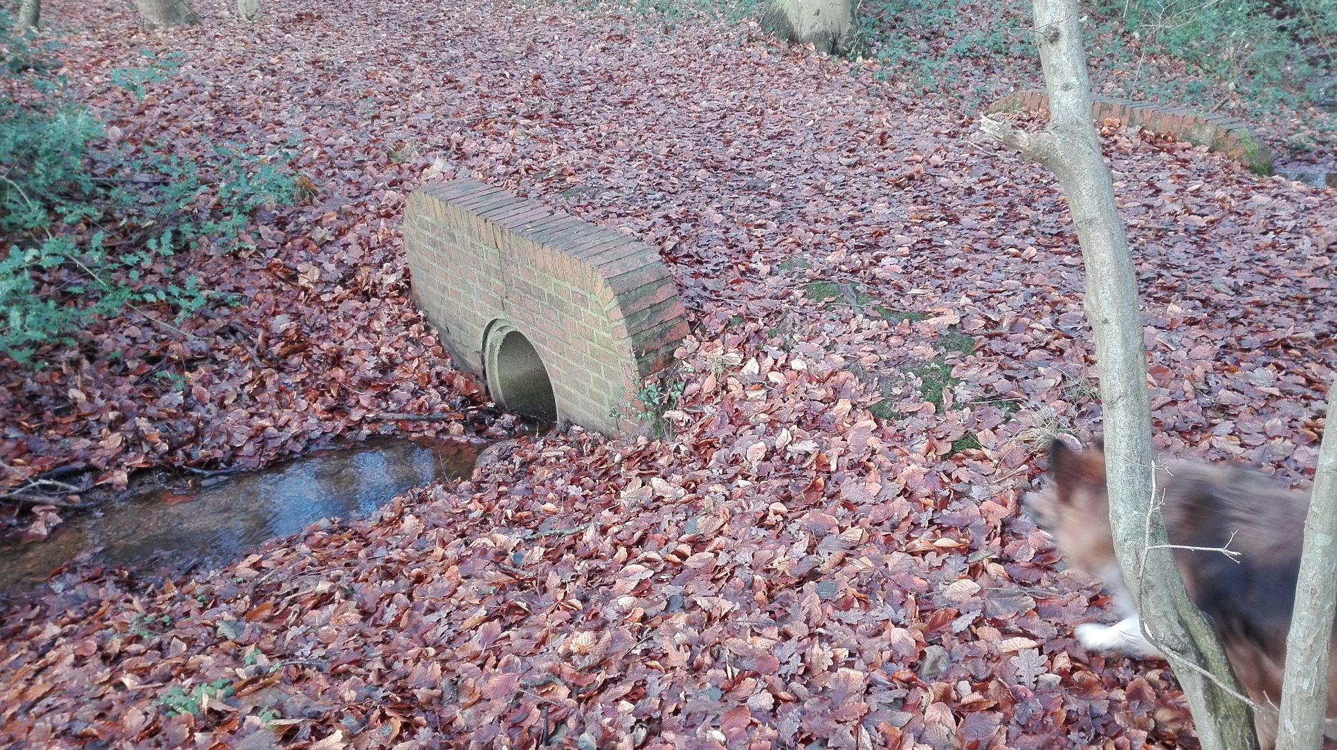 Brücke über den Bachlauf für wegsite