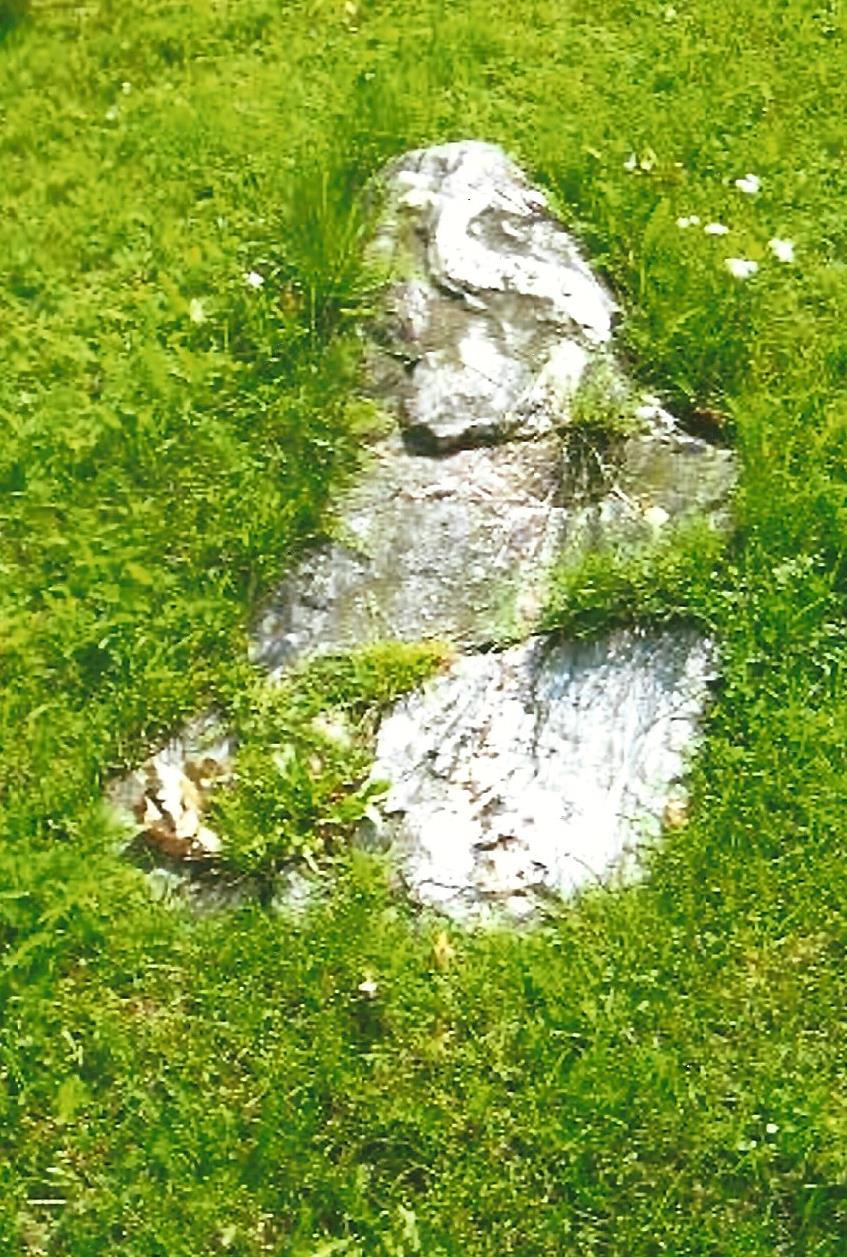 Die Schlange auf dem Stein