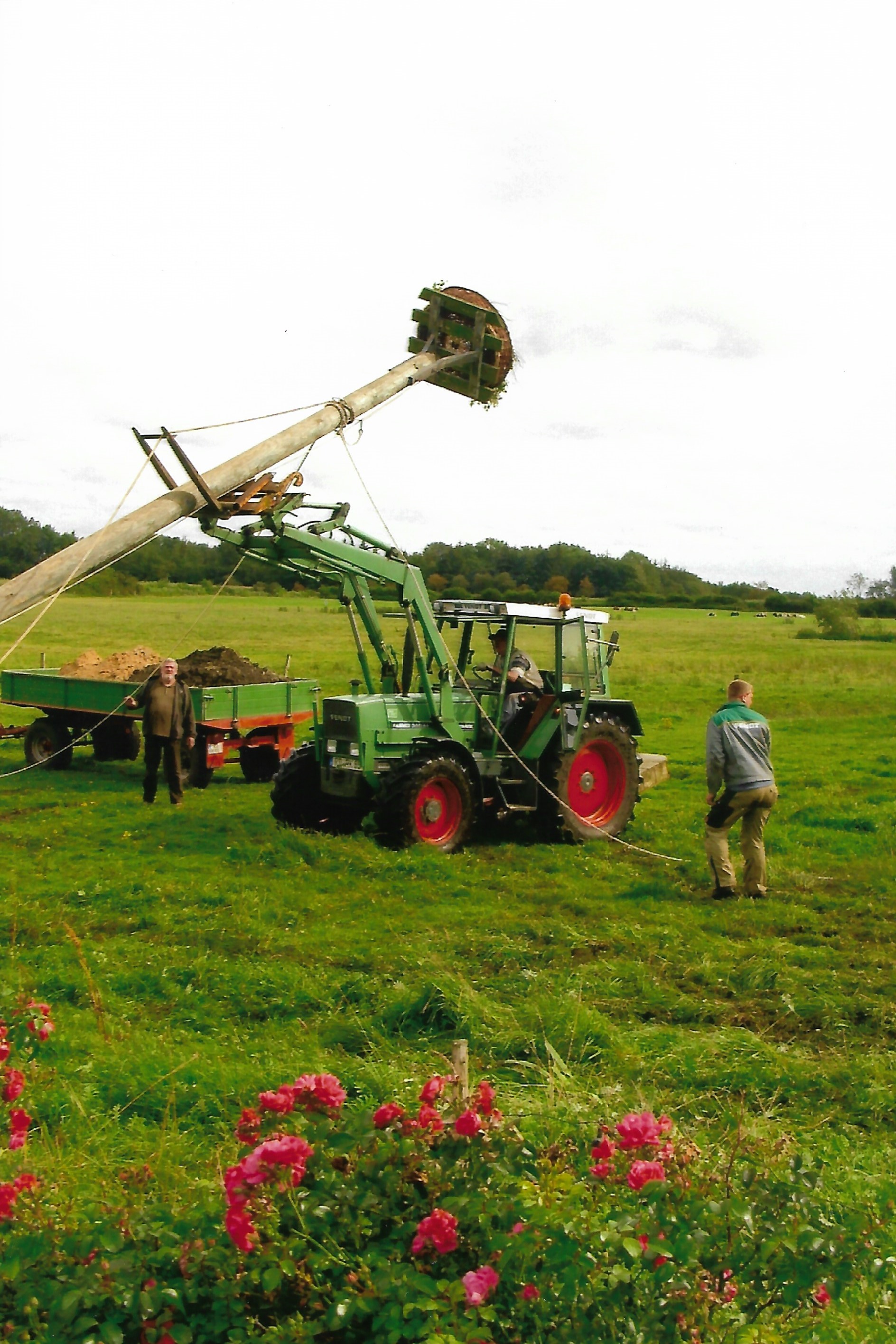 Storchennest bei P Breiholz